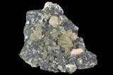 Cerussite Crystals with Bladed Barite on Galena - Morocco #98740-1